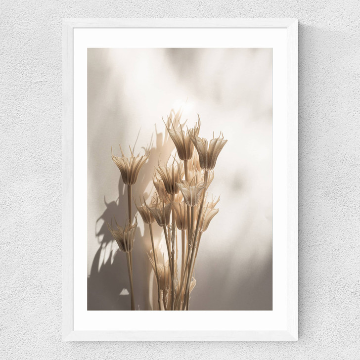 Last Summer XXVII Medium White Frame Last Summer XXVII Medium White Frame