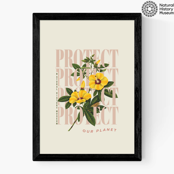 Protect Yellow Flower Medium Black Frame