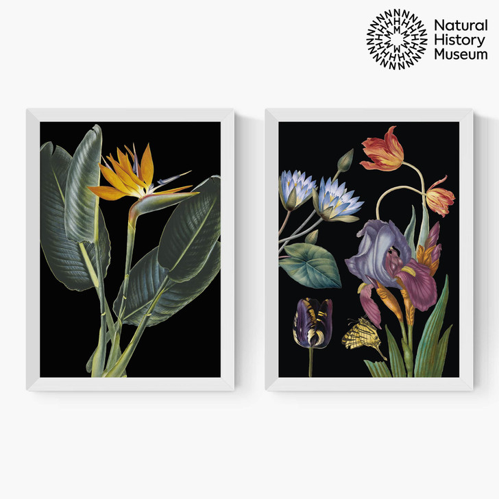 Vintage Florals Diptych Medium White Frame