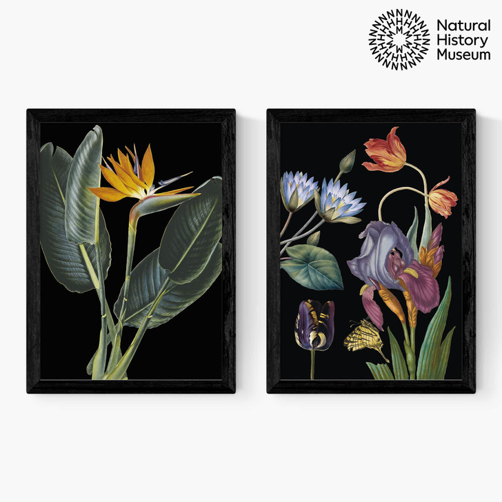 Vintage Florals Diptych Medium Black Frame