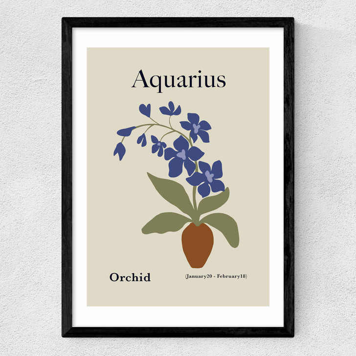 Aquarius Medium Black Frame Aquarius Medium Black Frame