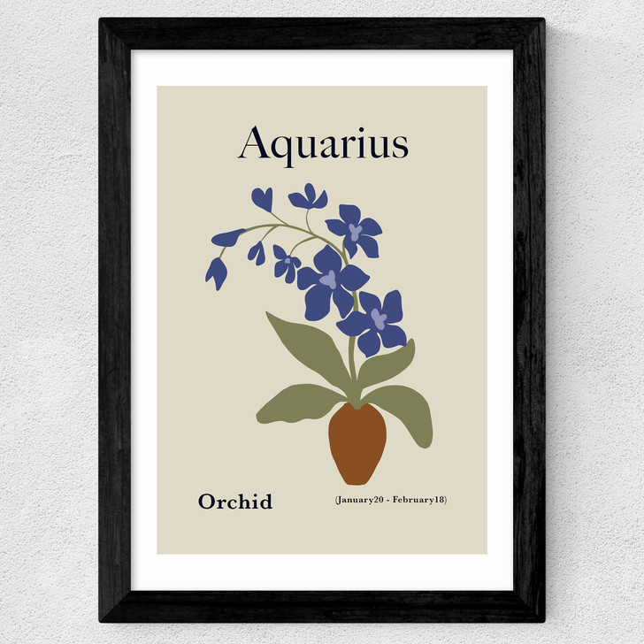 Aquarius Wide Black Frame