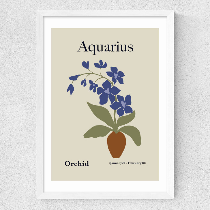 Aquarius Medium White Frame