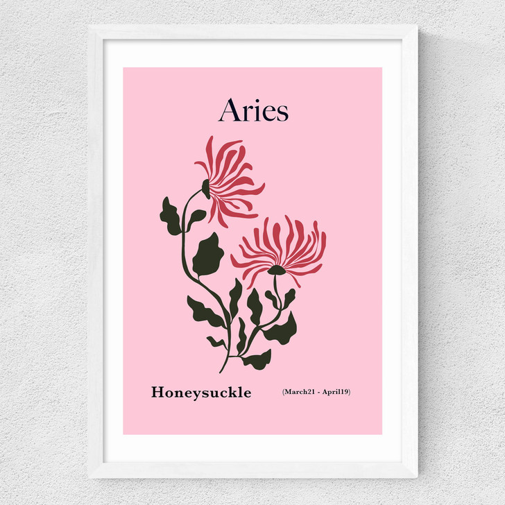 Aries Medium White Frame