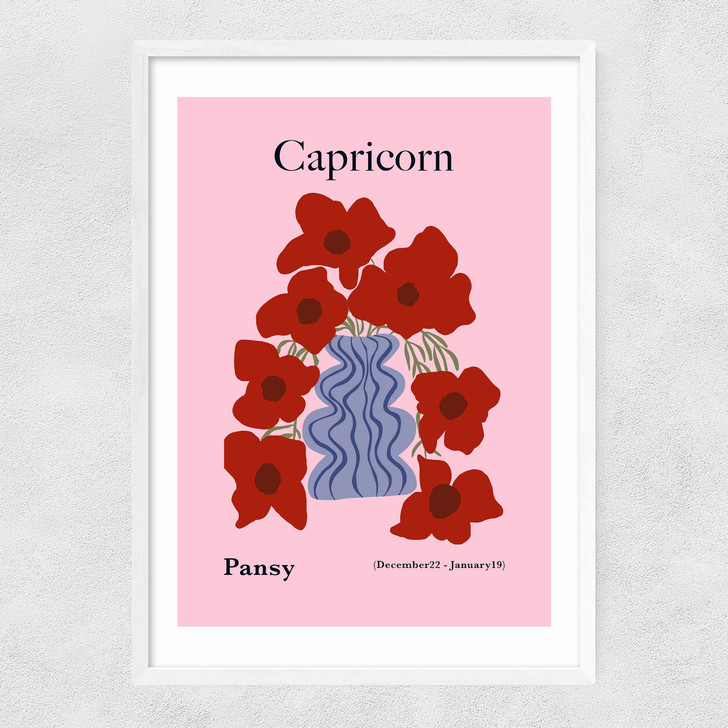Capricorn Narrow White Frame