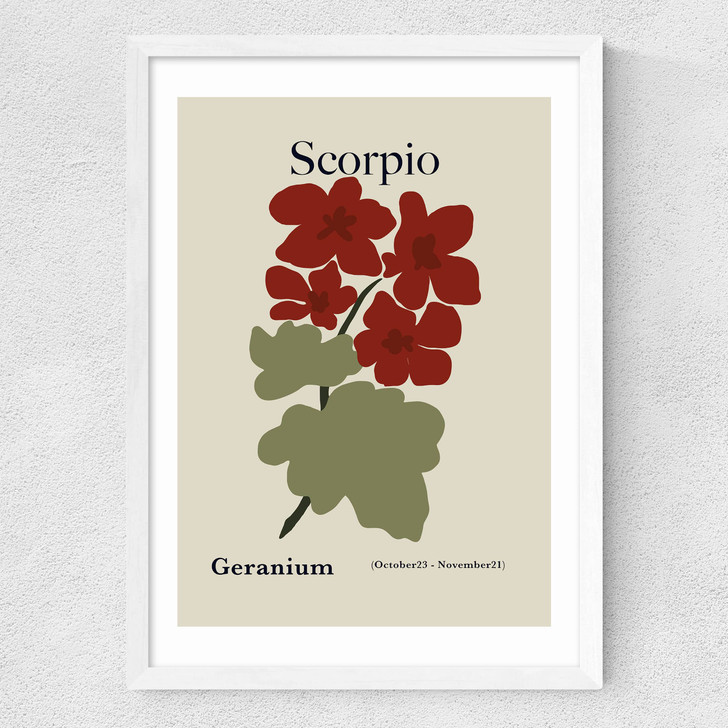 Scorpio Medium White Frame