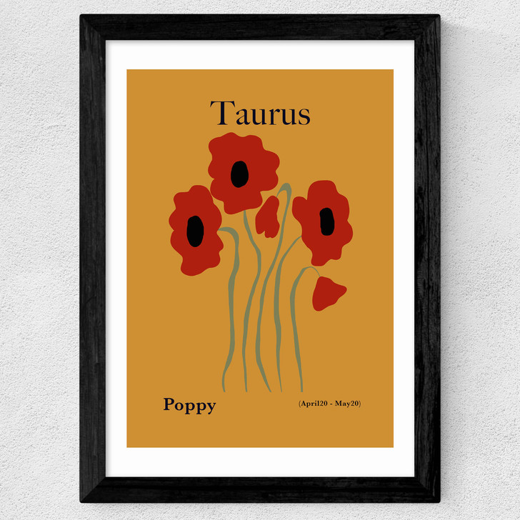 Taurus Wide Black Frame