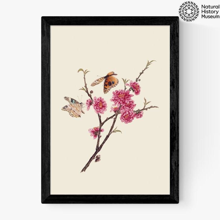 Flower and Butterflies Medium Black Frame