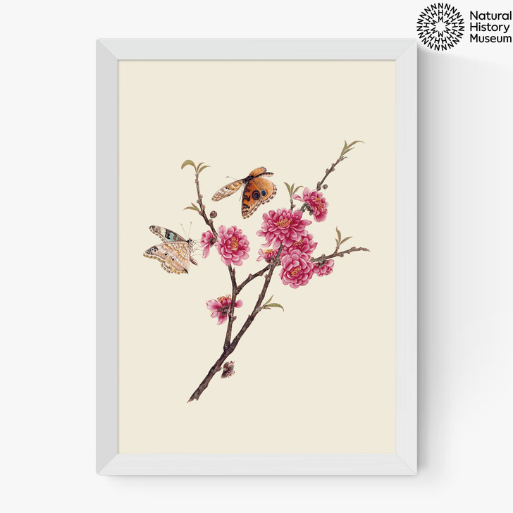 Flower and Butterflies Medium White Frame