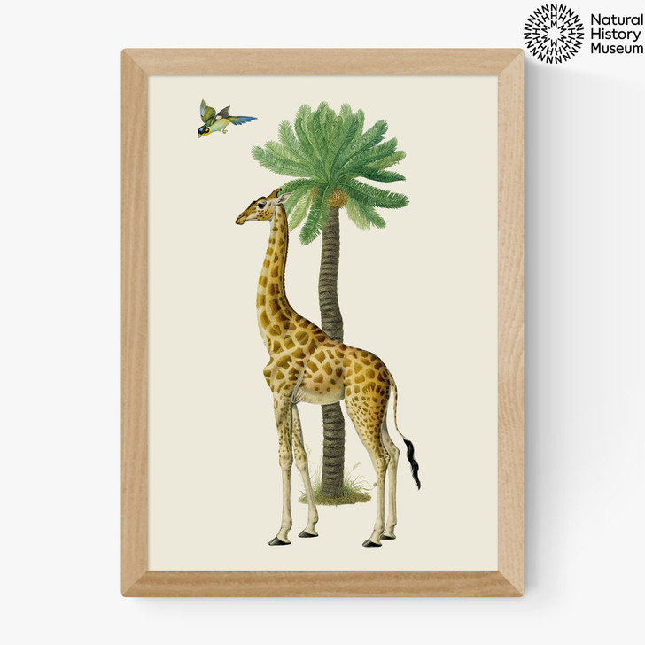 Giraffe and Bird Medium Oak Frame