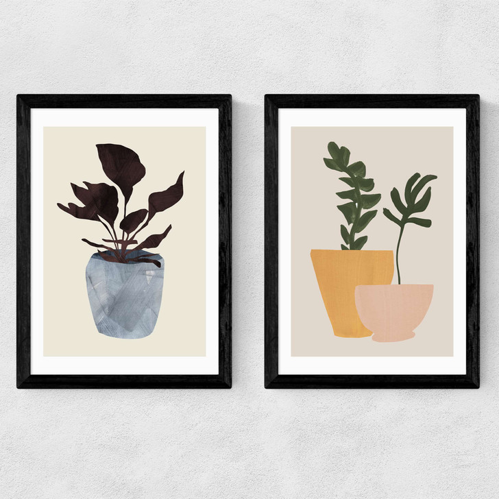Planted Twin Set Medium Black Frame