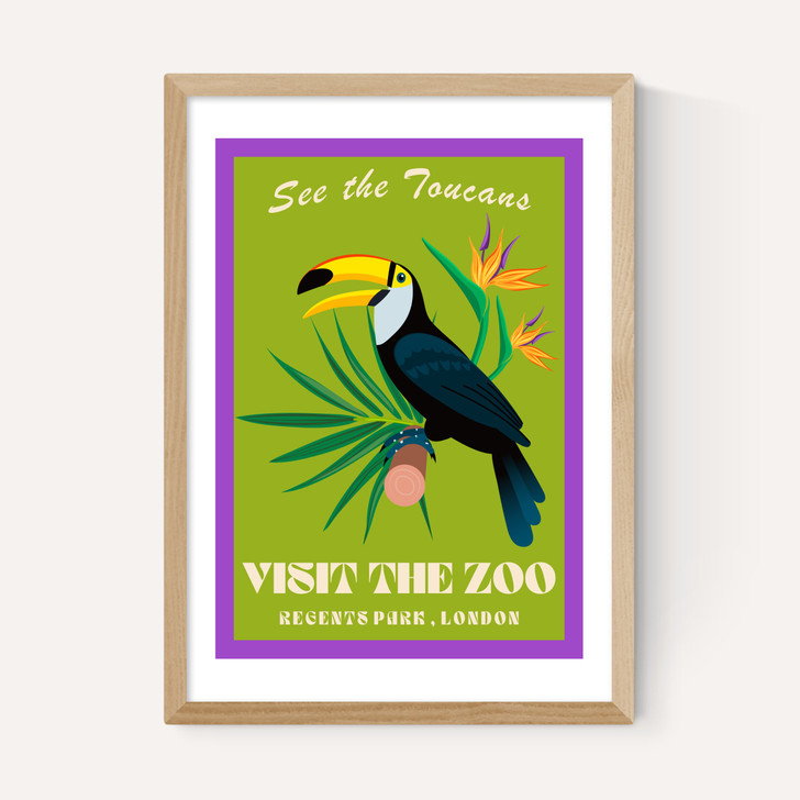 Zoo Toucan