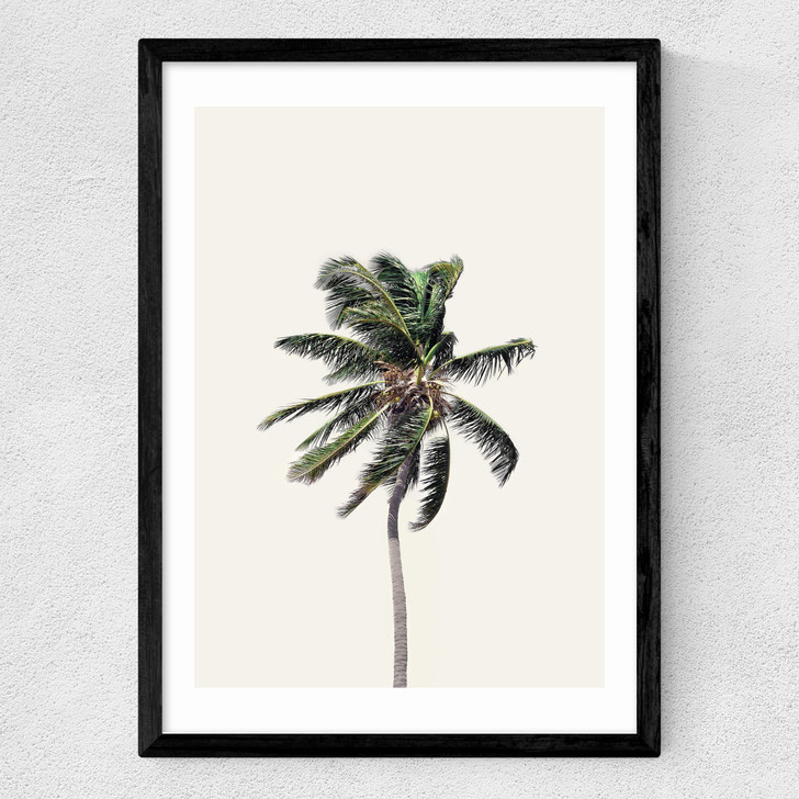 Palm Tree I Medium Black Frame Palm Tree I Medium Black Frame