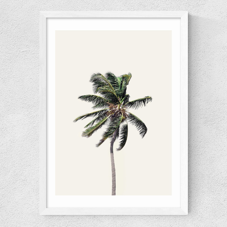 Palm Tree I Medium White Frame Palm Tree I Medium White Frame