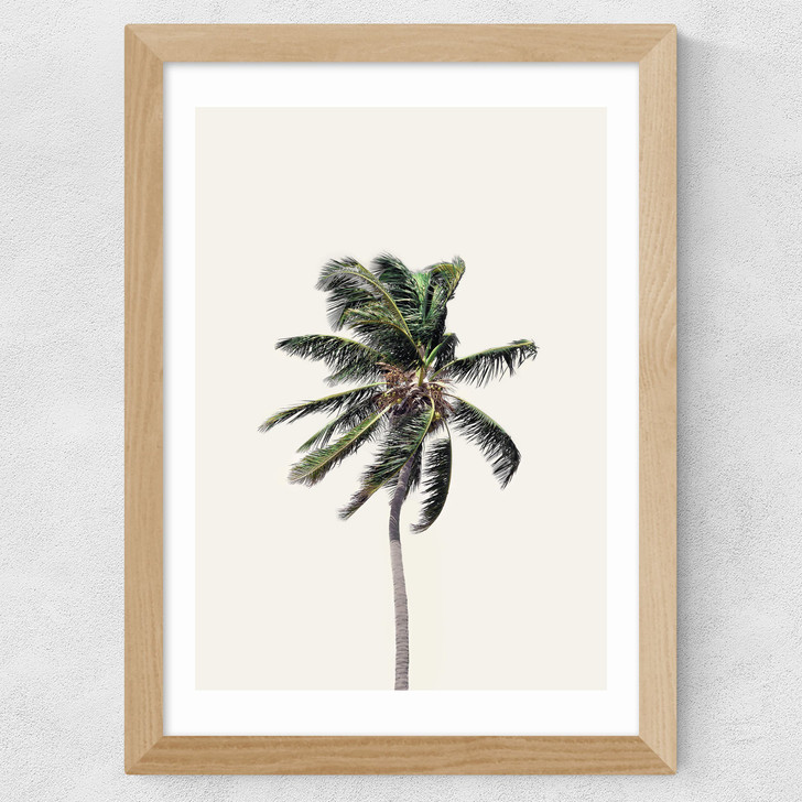 Palm Tree I Wide Oak Frame