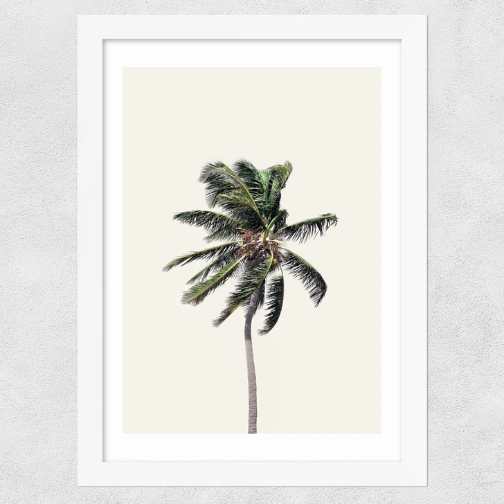 Palm Tree I Wide White Frame