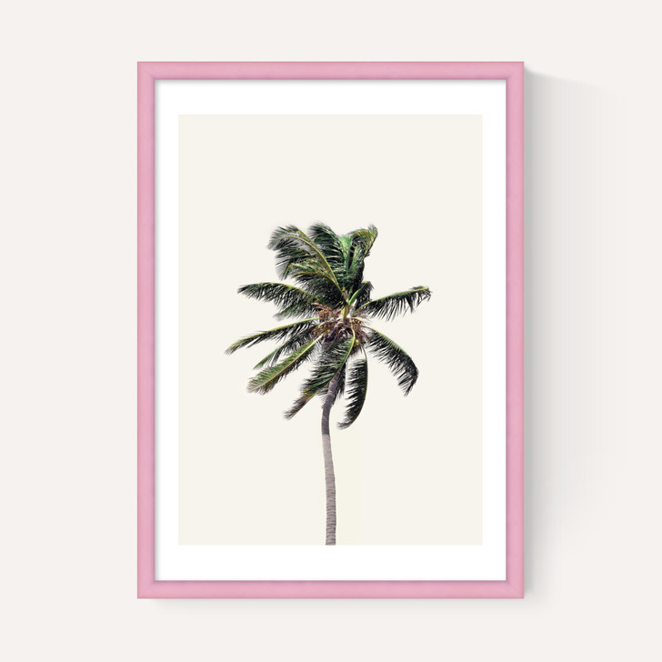 Palm Tree I