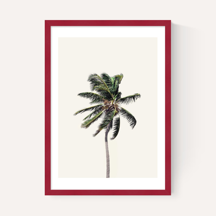 Palm Tree I