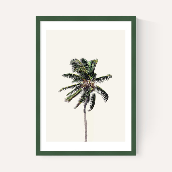 Palm Tree I