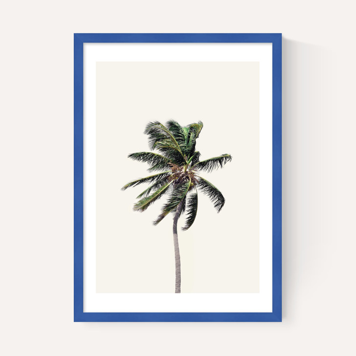 Palm Tree I