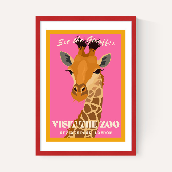 Zoo Giraffe