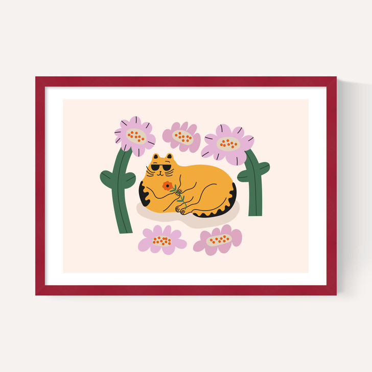 Summer Cat