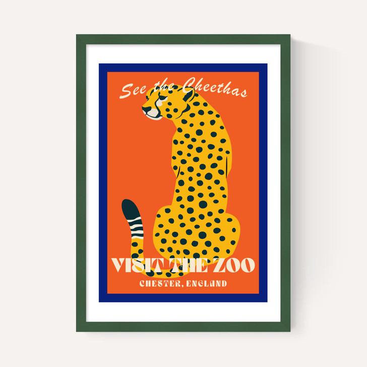 Zoo Cheetah