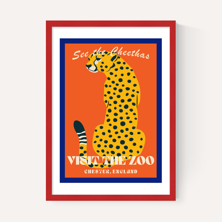 Zoo Cheetah