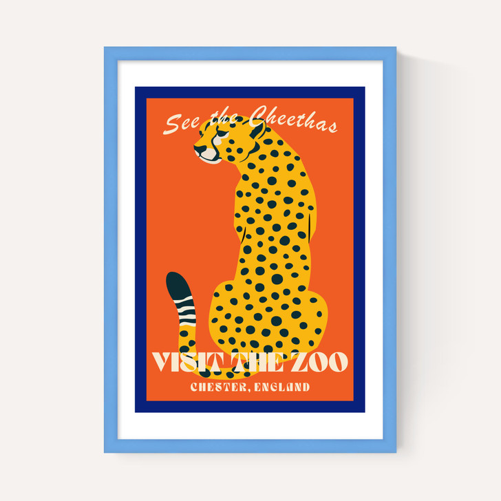 Zoo Cheetah