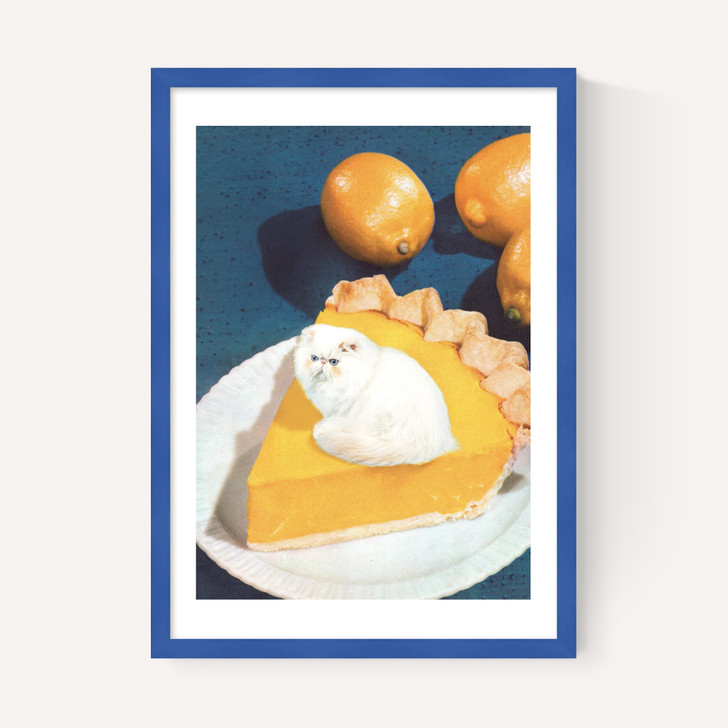 Lemon Meow Pie