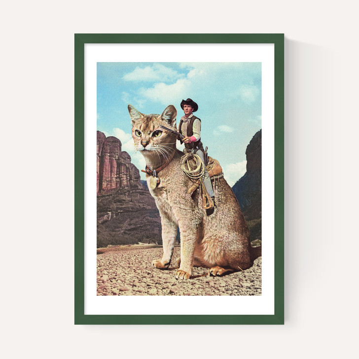 Cat Lone Ranger