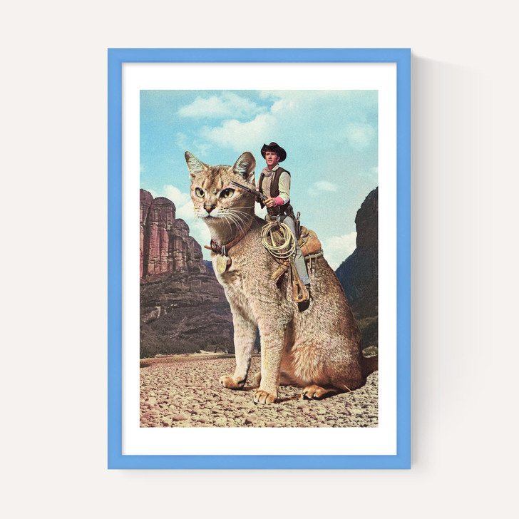 Cat Lone Ranger