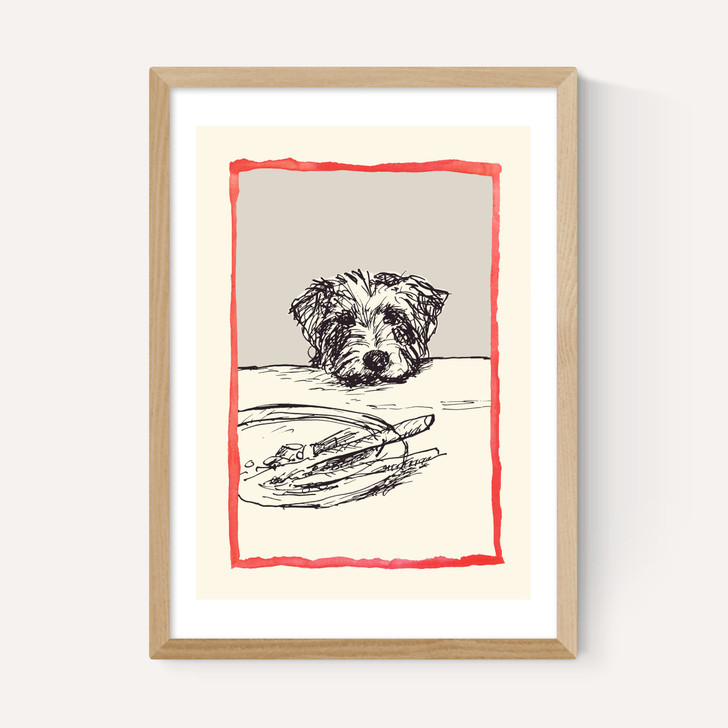 Dog With Plate