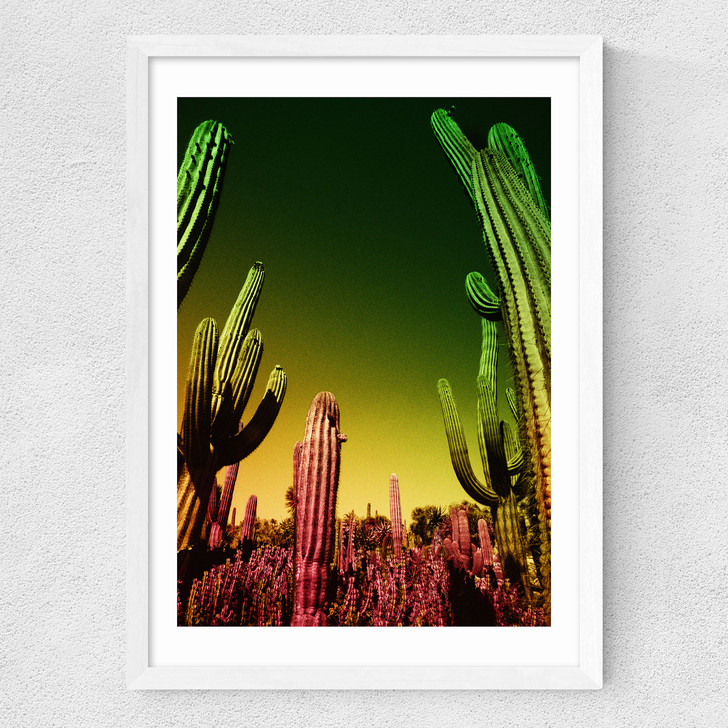 Murph Medium White Frame