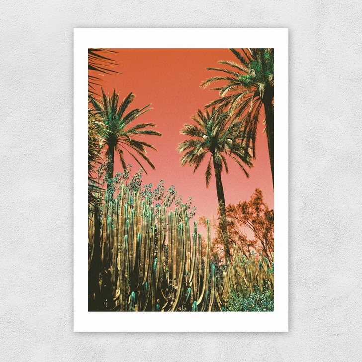 MioMio Unframed Print