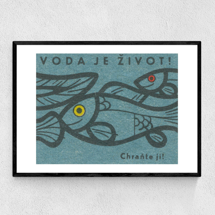 Fish Matchbox Label Narrow Black Frame