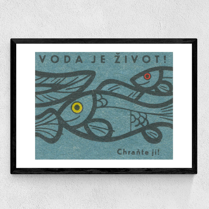 Fish Matchbox Label Medium Black Frame