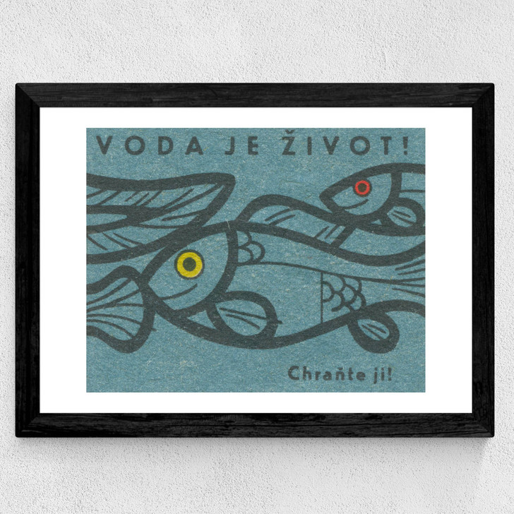 Fish Matchbox Label Wide Black Frame