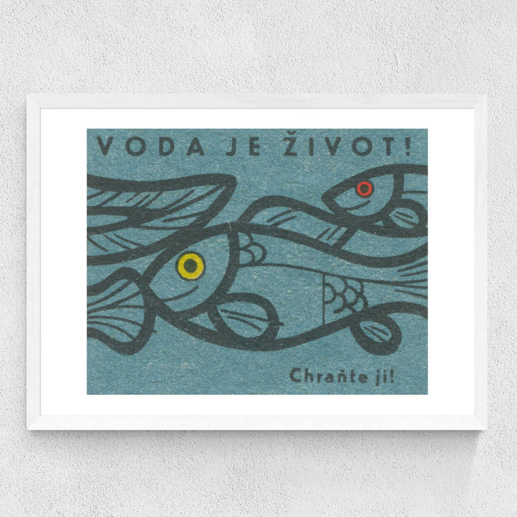 Fish Matchbox Label Medium White Frame