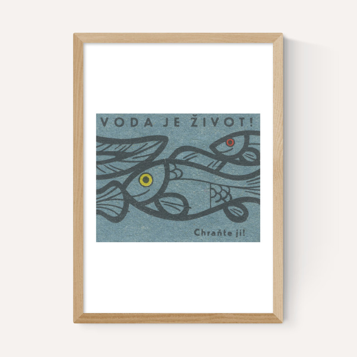 Fish Matchbox Label