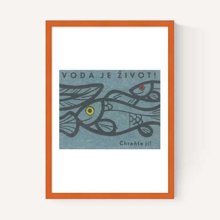 Fish Matchbox Label