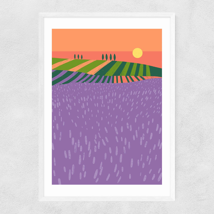Lavender Fields