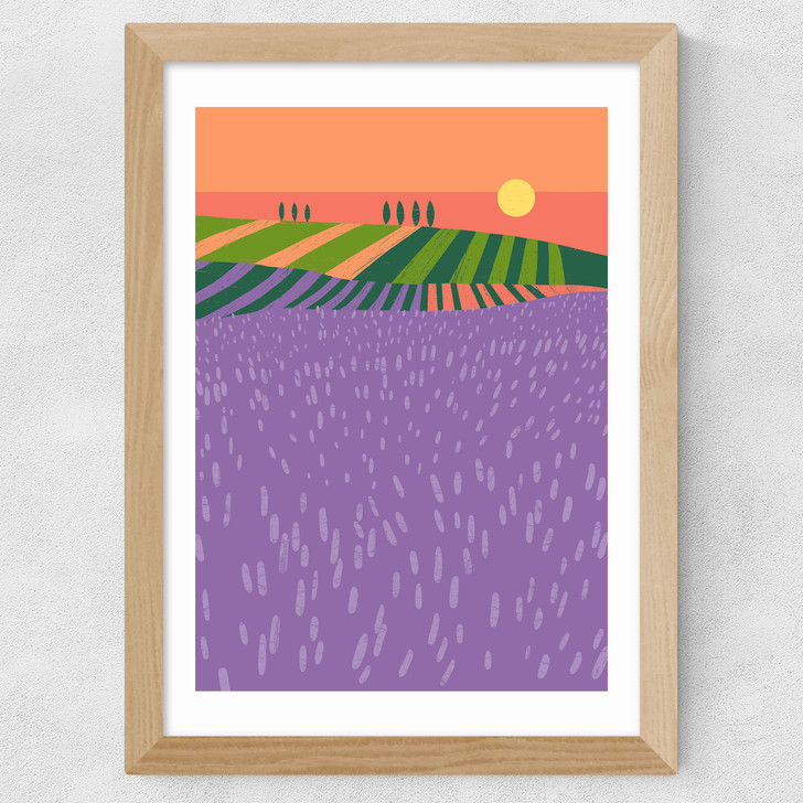 Lavender Fields