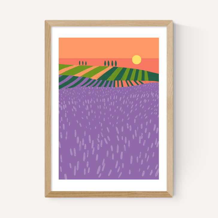 Lavender Fields