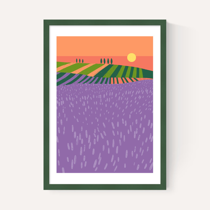 Lavender Fields
