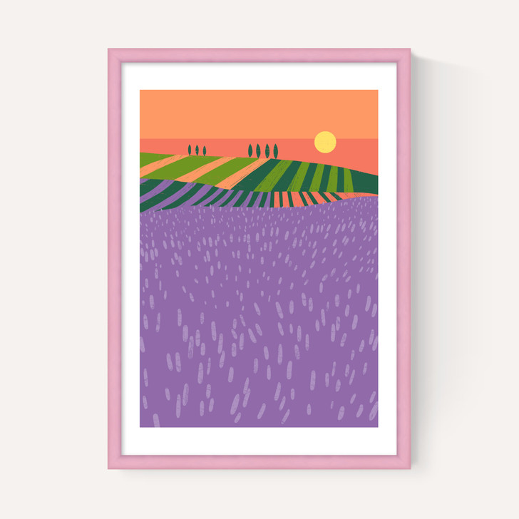 Lavender Fields