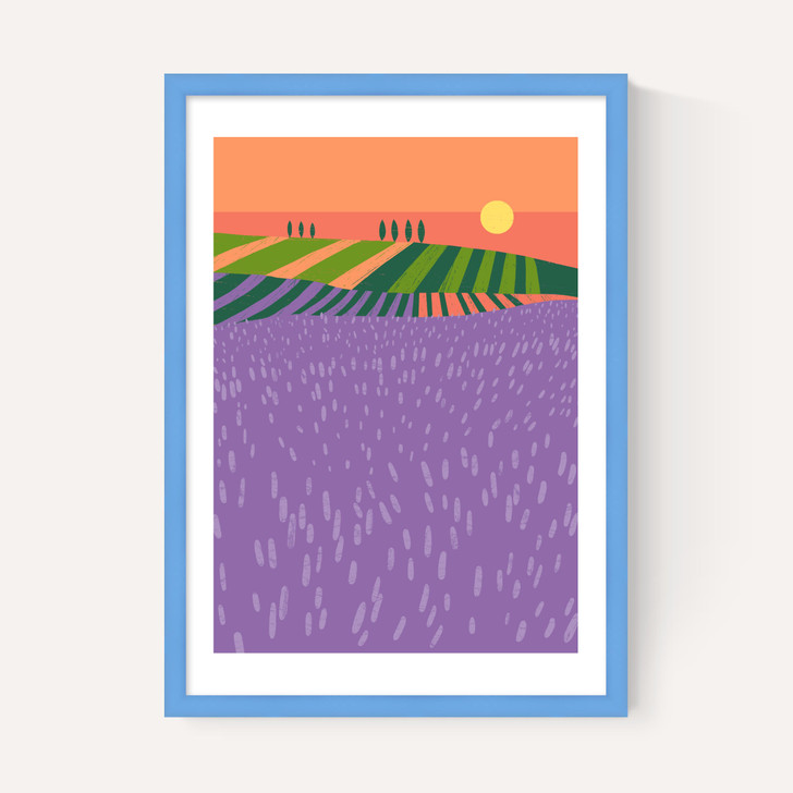 Lavender Fields