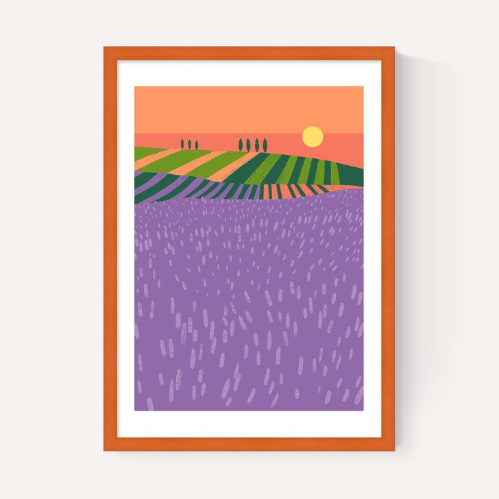 Lavender Fields