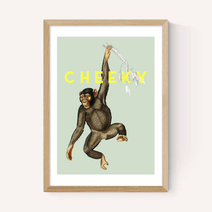 Cheeky Monkey