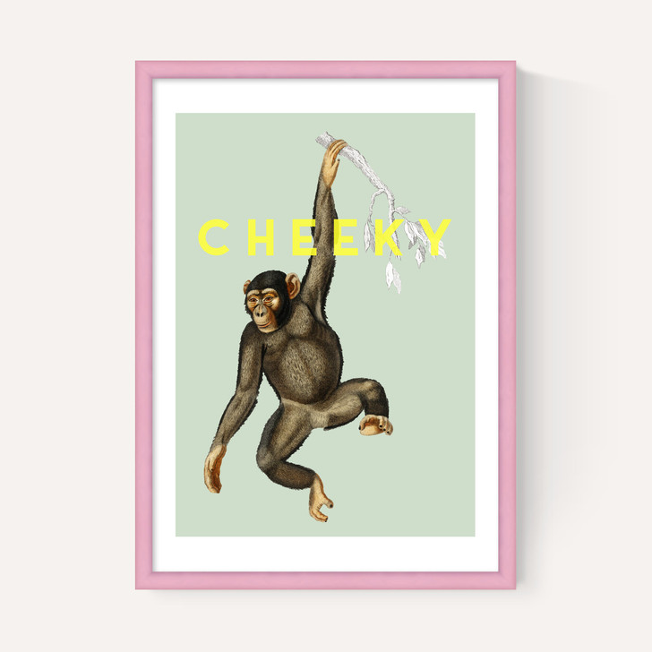 Cheeky Monkey